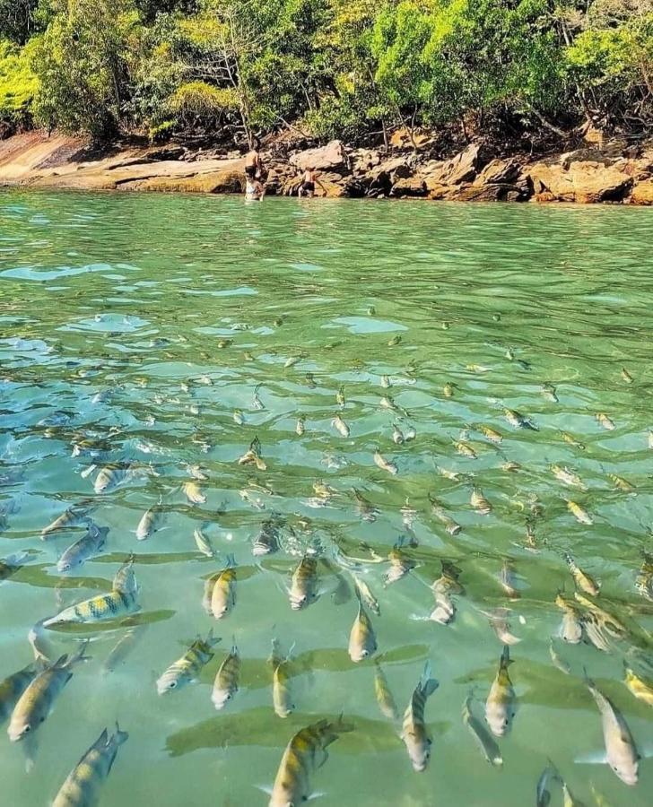 Pousada Recanto Som Do Mar Caraguatatuba Zewnętrze zdjęcie